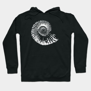 Ammonite fossil tshirt, ideal gift for fossil hunters Hoodie